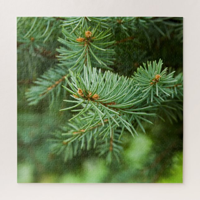 Pine tree closeup jigsaw puzzle (Vertical)