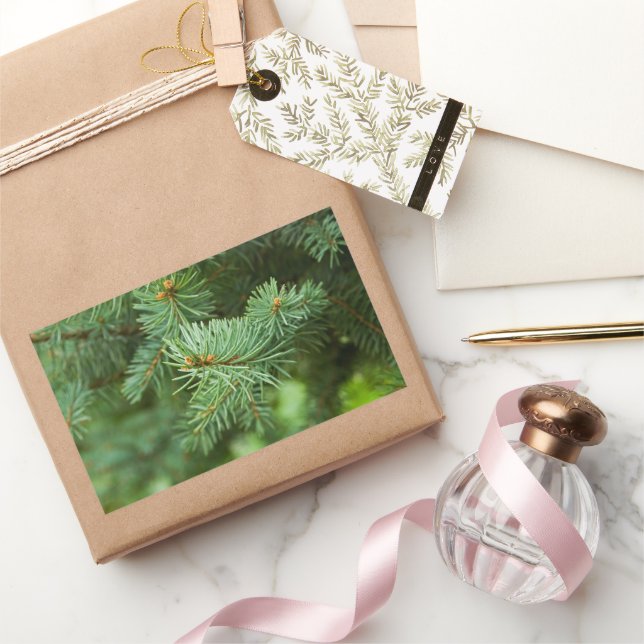 Pine tree closeup rectangular sticker (Gifting)