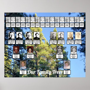 Pine Tree Forest Photo Two Family Trees Poster