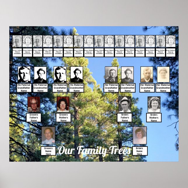 Pine Tree Forest Photo Two Family Trees Poster (Front)