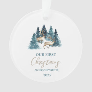 Pine Tree Forest Reindeer Our First Christmas Ornament