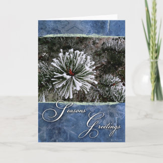 Pine tree in snow-Season's Greetings Holiday Card