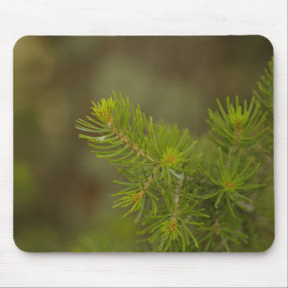 Pine Tree Mouse Pad