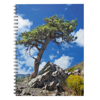 Pine Tree Spiral Notebook