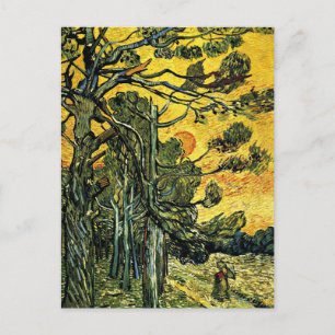 Pine Trees Against a Red Sky Postcard