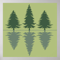pine trees in a forest