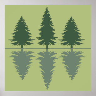 pine trees in a forest  poster