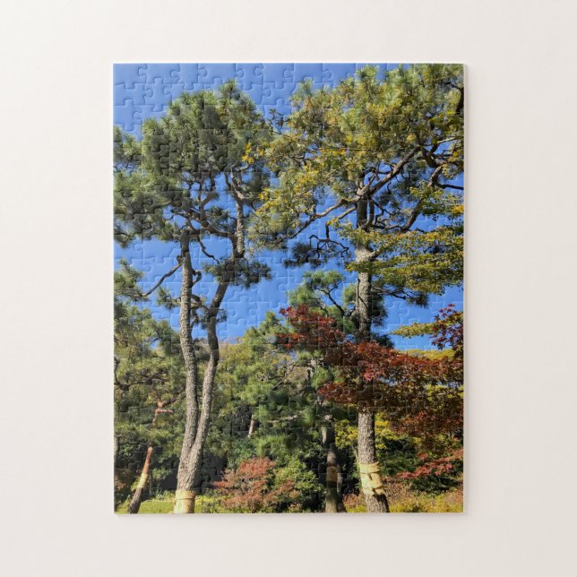 Pine Trees in Autumn Sky Jigsaw Puzzle (Vertical)