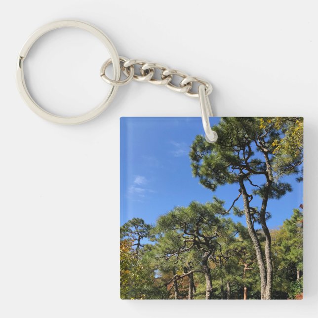 Pine Trees in Autumn Sky Key Ring (Front)