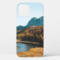 PINE TREES NEAR LAKE