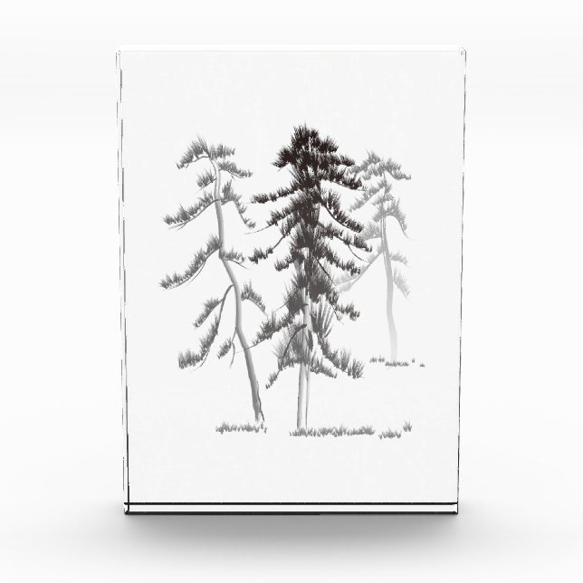 Pine trees photo block (Front)