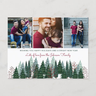 Pine Trees   Postcard   Holiday Photo Card