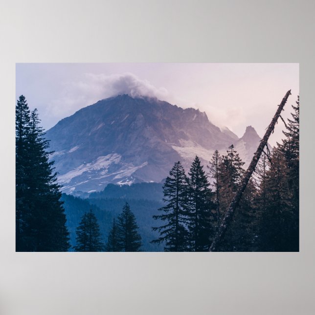 PINE TREES POSTER (Front)