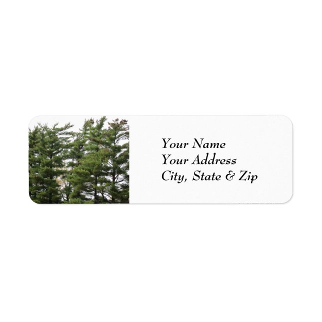 Pine Trees Return Address Label (Front)