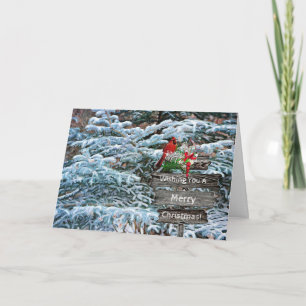 Pine Trees Snow Cardinal Christmas Card