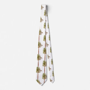 Pine trees  tie