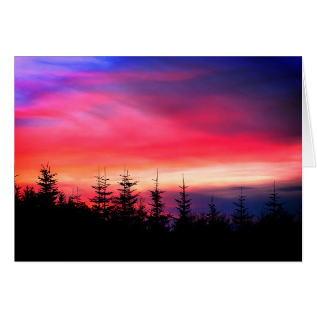 Pine Trees Under The Oregon Sunset (Front Horizontal)