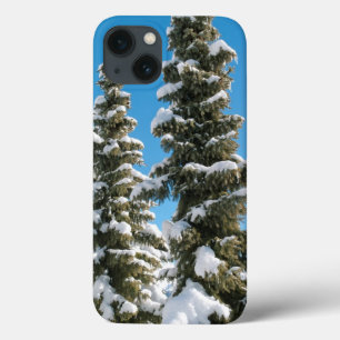Pine trees under the Snow iPhone 13 Case