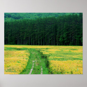 Pine Trees Yellow Flowers Field Nature Poster