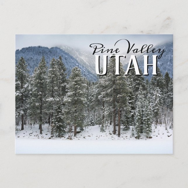 Pine Valley Utah Winter Snow Postcard (Front)
