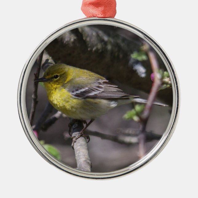 Pine Warbler Metal Ornament (Front)