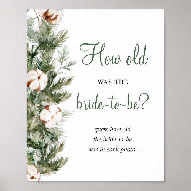 Pine Winter How Old Was Bride Bridal Shower Sign (Front)