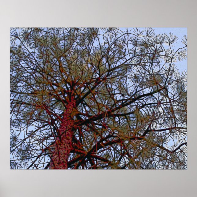 Pine with Red Trunk (detail) Poster (Front)