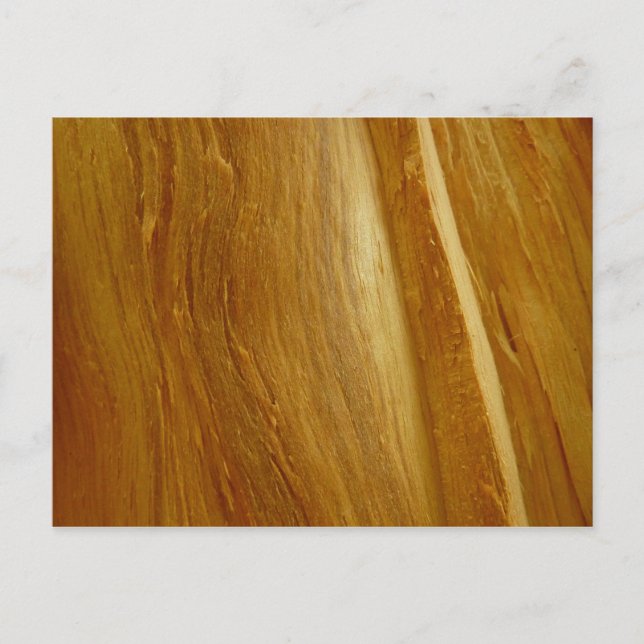 Pine Wood II Faux Wooden Texture Postcard (Front)