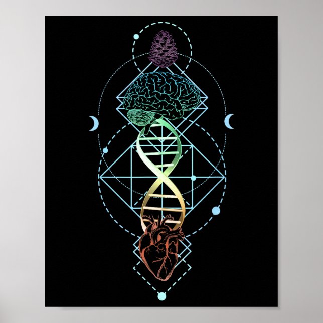 Pineal Gland Pine Cone Third Eye Mind Opening Hear Poster (Front)