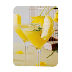 Pineapple and ginger Fresca cocktail Magnet