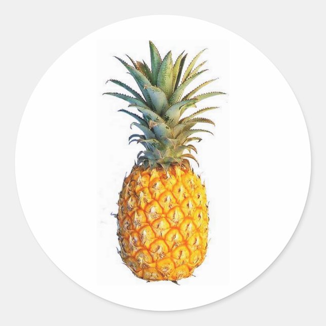 pineapple classic round sticker (Front)