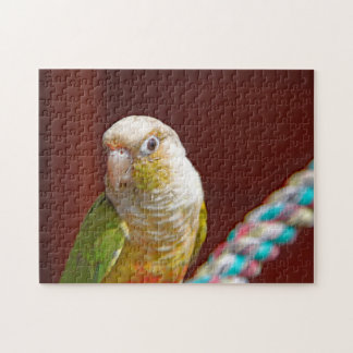 Pineapple Conure Jigsaw Puzzle