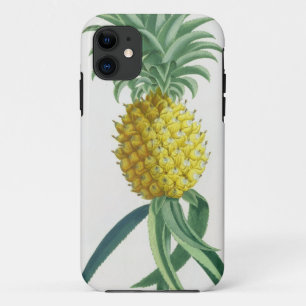 Pineapple engraved by Johann Jakob Haid (1704-67) iPhone 11 Case