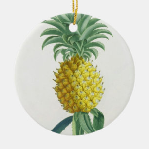 Pineapple engraved by Johann Jakob Haid (1704-67) Ceramic Tree Decoration