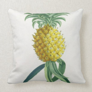 Pineapple engraved by Johann Jakob Haid (1704-67) Cushion