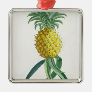 Pineapple engraved by Johann Jakob Haid (1704-67) Metal Ornament