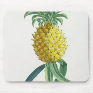 Pineapple engraved by Johann Jakob Haid (1704-67) Mouse Pad