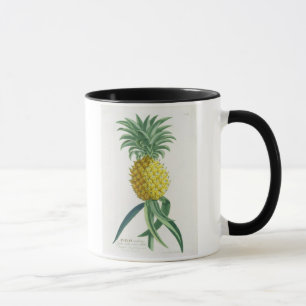 Pineapple engraved by Johann Jakob Haid (1704-67) Mug