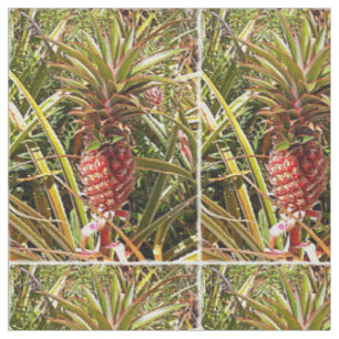 Pineapple Fabric
