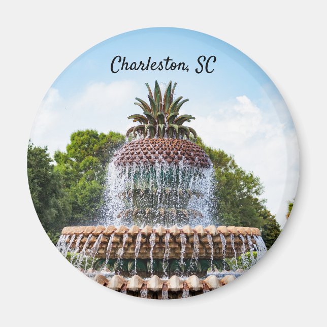 Pineapple Fountain in Charleston, SC Magnet (Front)