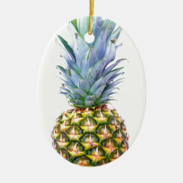 Pineapple Fruit Beach Dessert Colourful Tropical Ceramic Tree Decoration (Front)