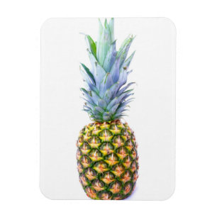 Pineapple Fruit Beach Dessert Colourful Tropical Magnet