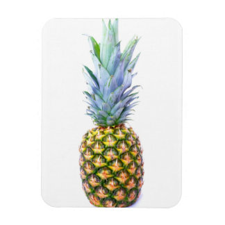 Pineapple Fruit Beach Dessert Colourful Tropical Magnet