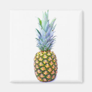Pineapple Fruit Beach Dessert Colourful Tropical Magnet