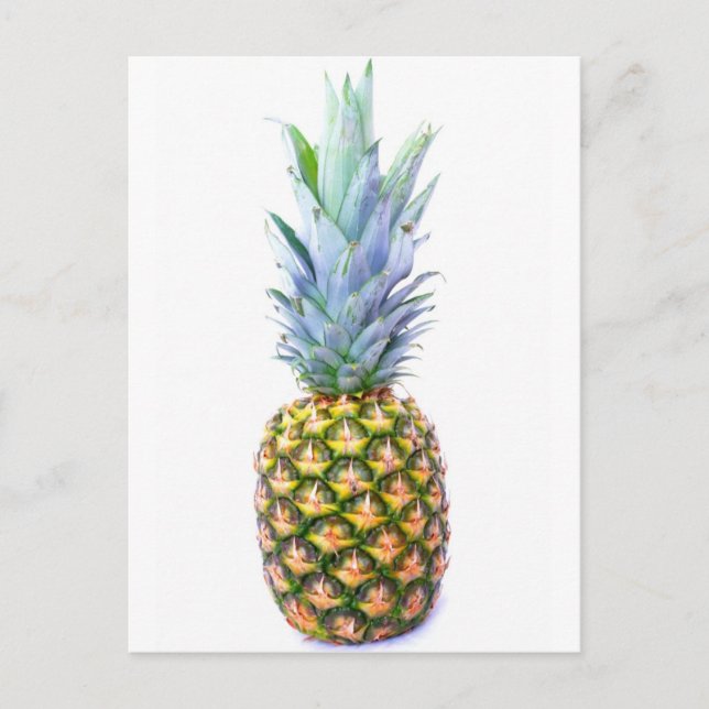 Pineapple Fruit Beach Dessert Colourful Tropical Postcard (Front)