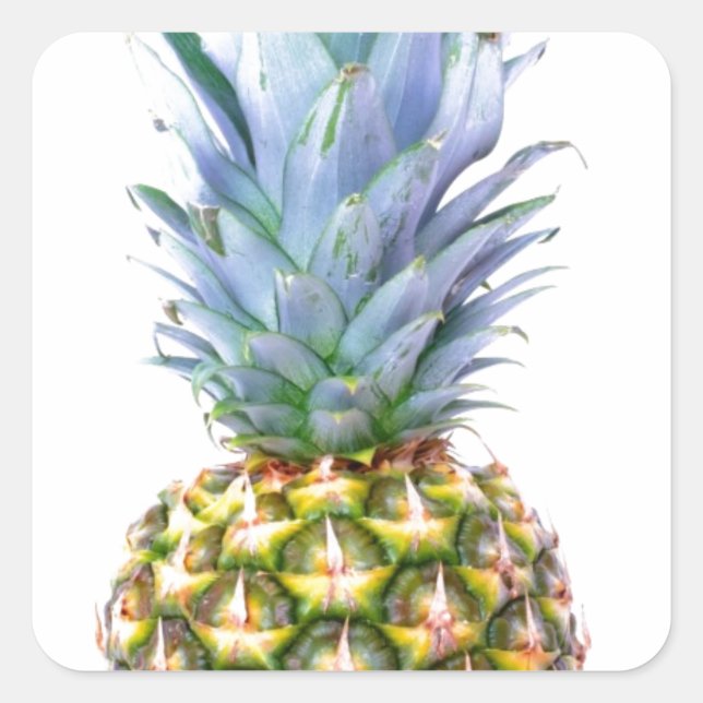 Pineapple Fruit Beach Dessert Colourful Tropical Square Sticker (Front)