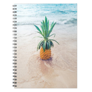 Pineapple fruit on beach shore in the morning notebook