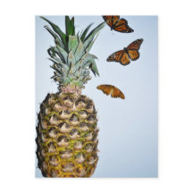 Pineapple Fun