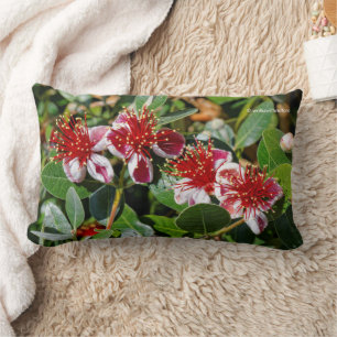Pineapple Guava / Guavasteen Flowers Lumbar Cushion