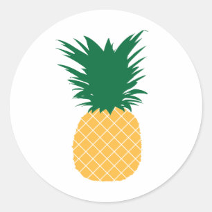 Pineapple icon classic round sticker